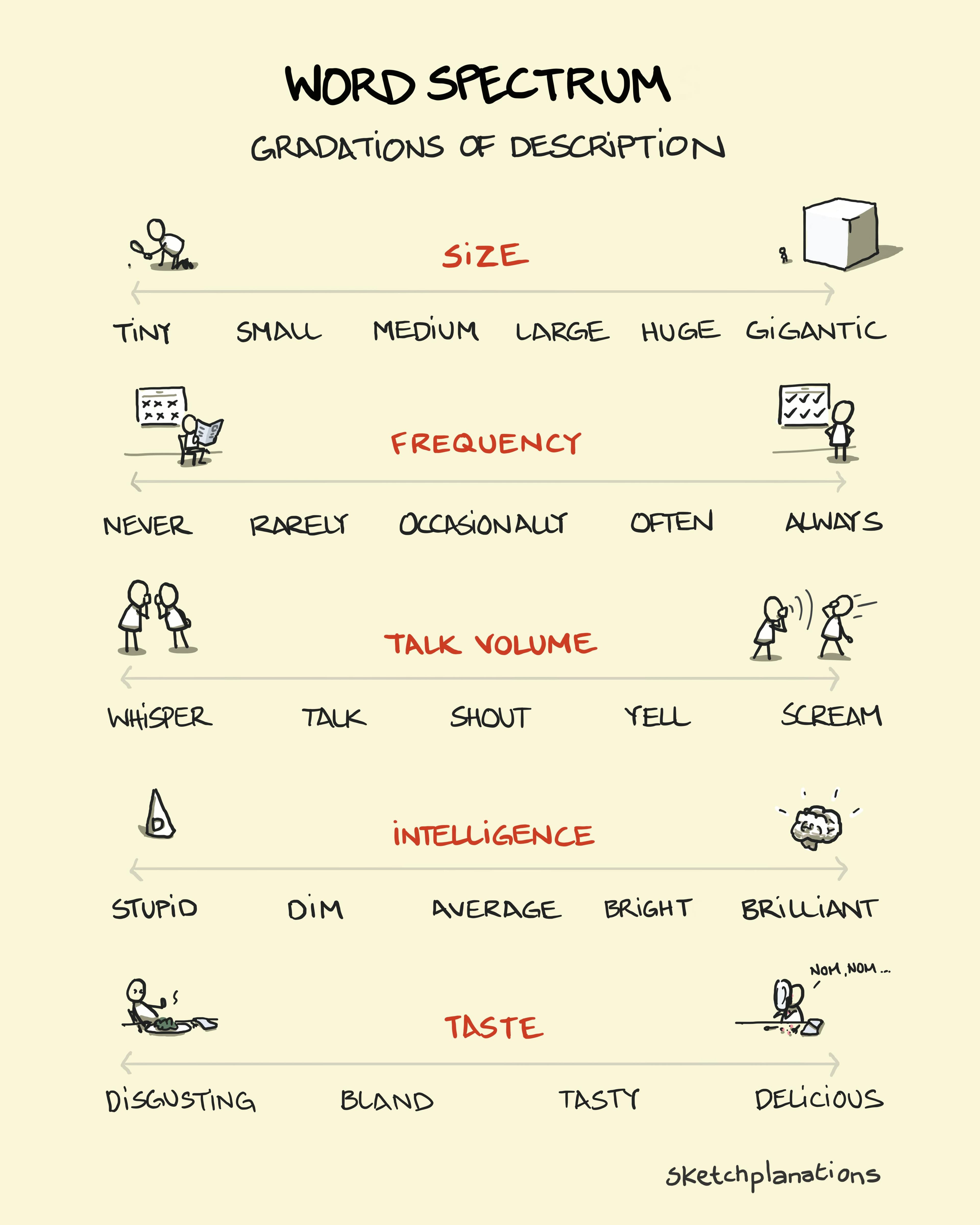 Word spectrum examples and explanation showing what is a word spectrum as gradations of description and examples of different word spectrums for size, frequency, talk volume, intelligence and taste